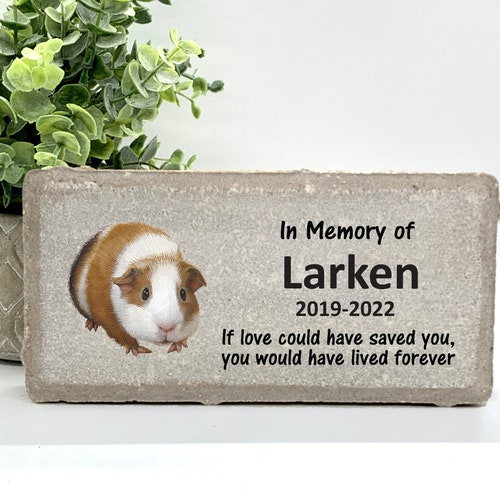 Personalized Guinea Pig Memorial Necklace Guinea Pig Loss Etsy