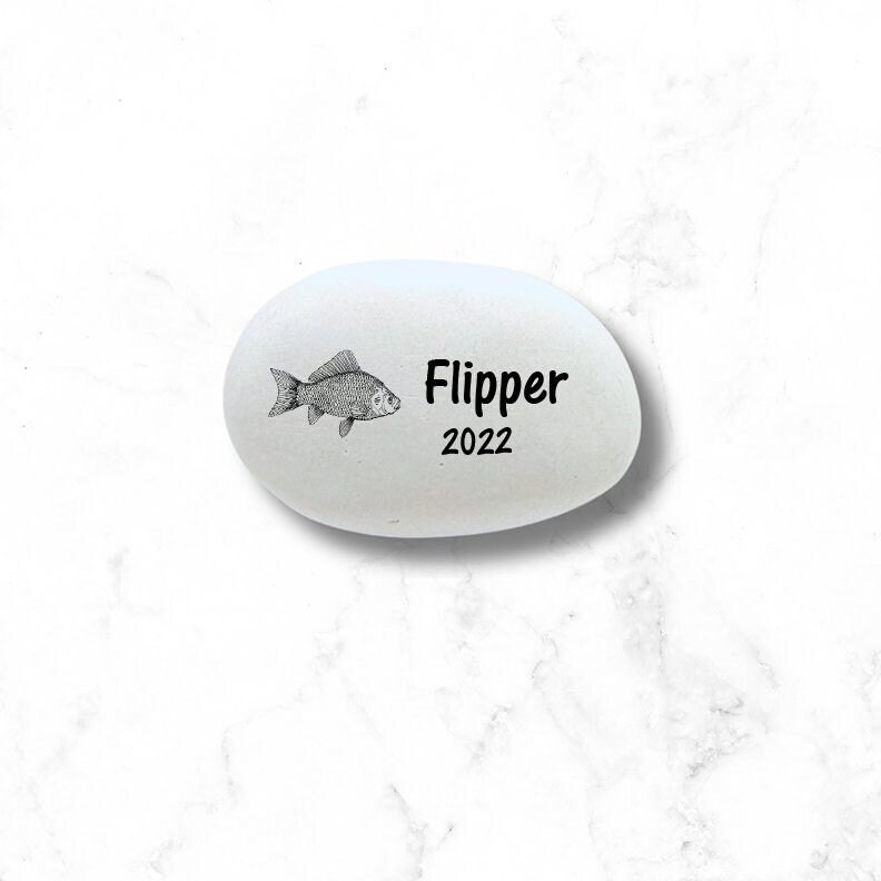 Fish Sympathy Gift - 60+ Gift Ideas for 2024