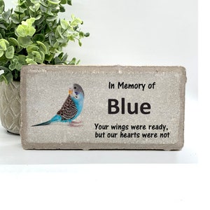 Parakeet Memorial Stone- Choice of Parakeet Color - Personalized Bird Keepsake- Bird Sympathy Gift- Pet Loss Gift- Blue or green parakeet