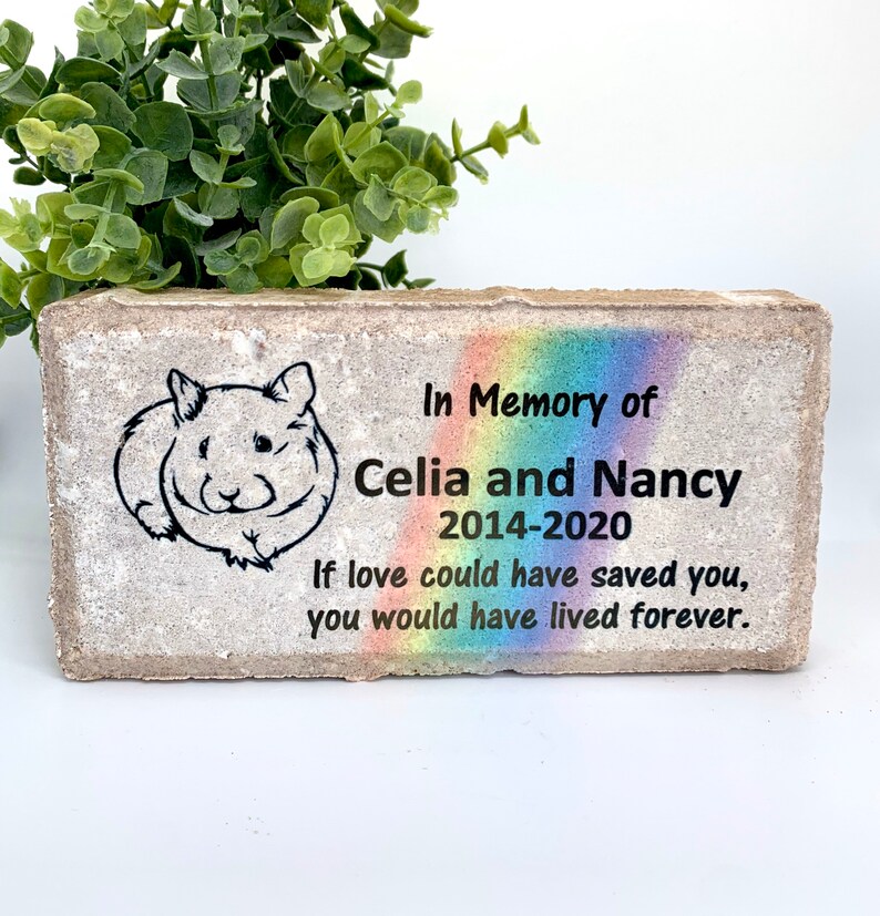 Guinea Pig Memorial Stone Rainbow Bridge Personalizado Etsy