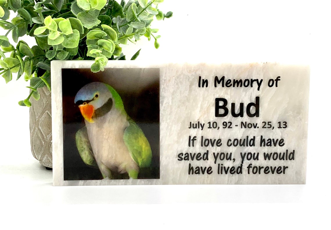 Pet Bird Burial Marker Bird Photo Memorial Stone Marble Etsy