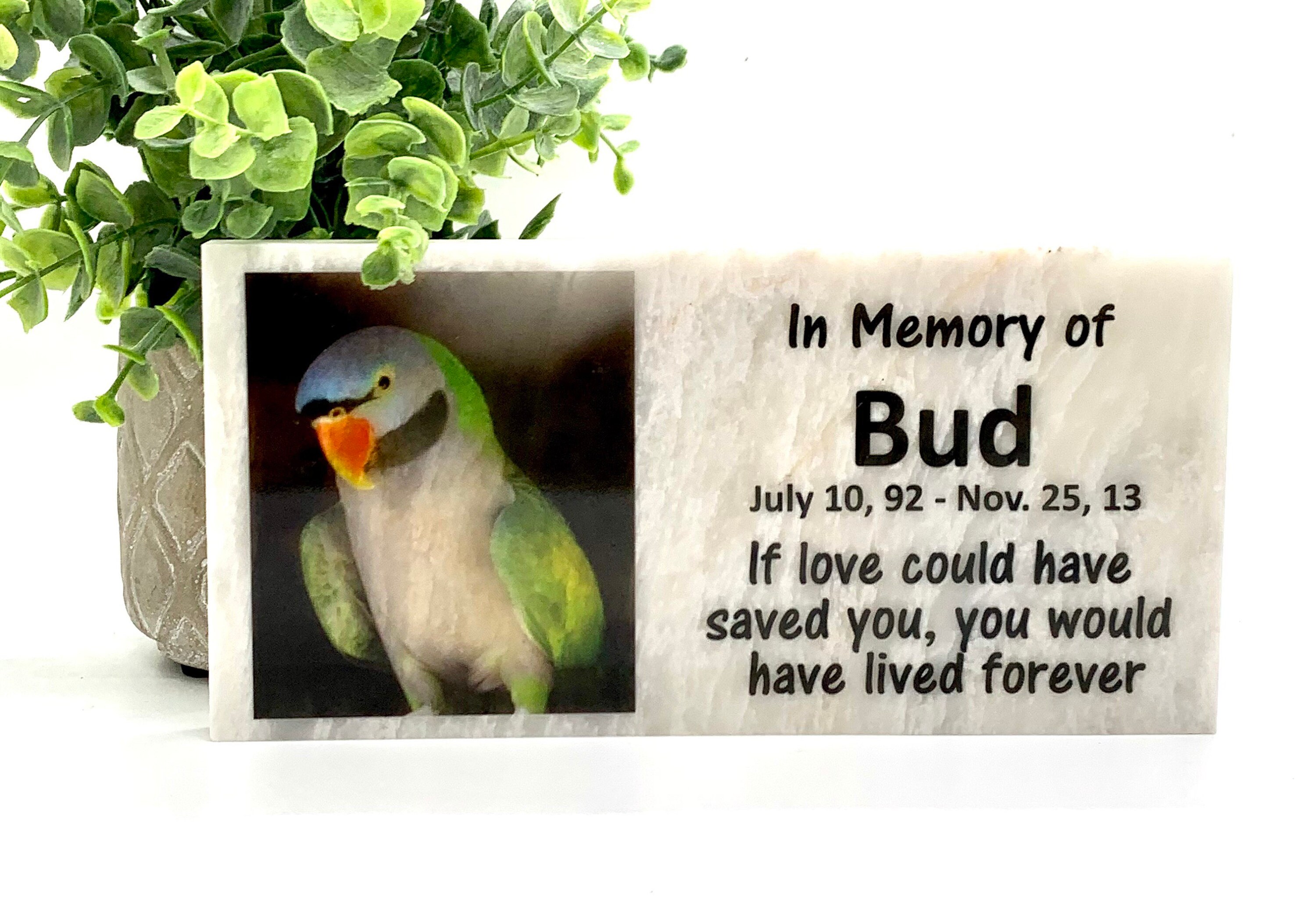 Pet Bird Keepsake Bird Photo Memorial Personalized Pet Etsy UK