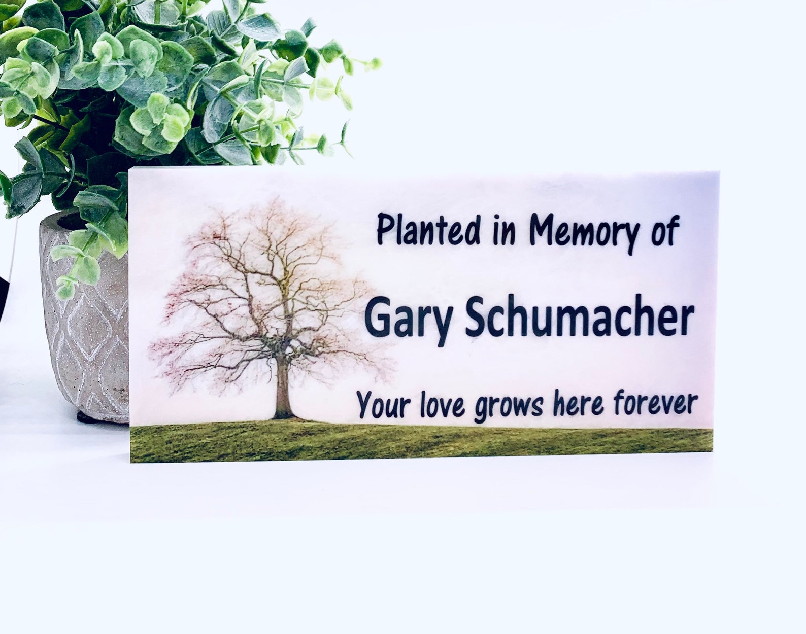Memorial Plaque Memorial Tree Plaque Planted in Memory of Etsy