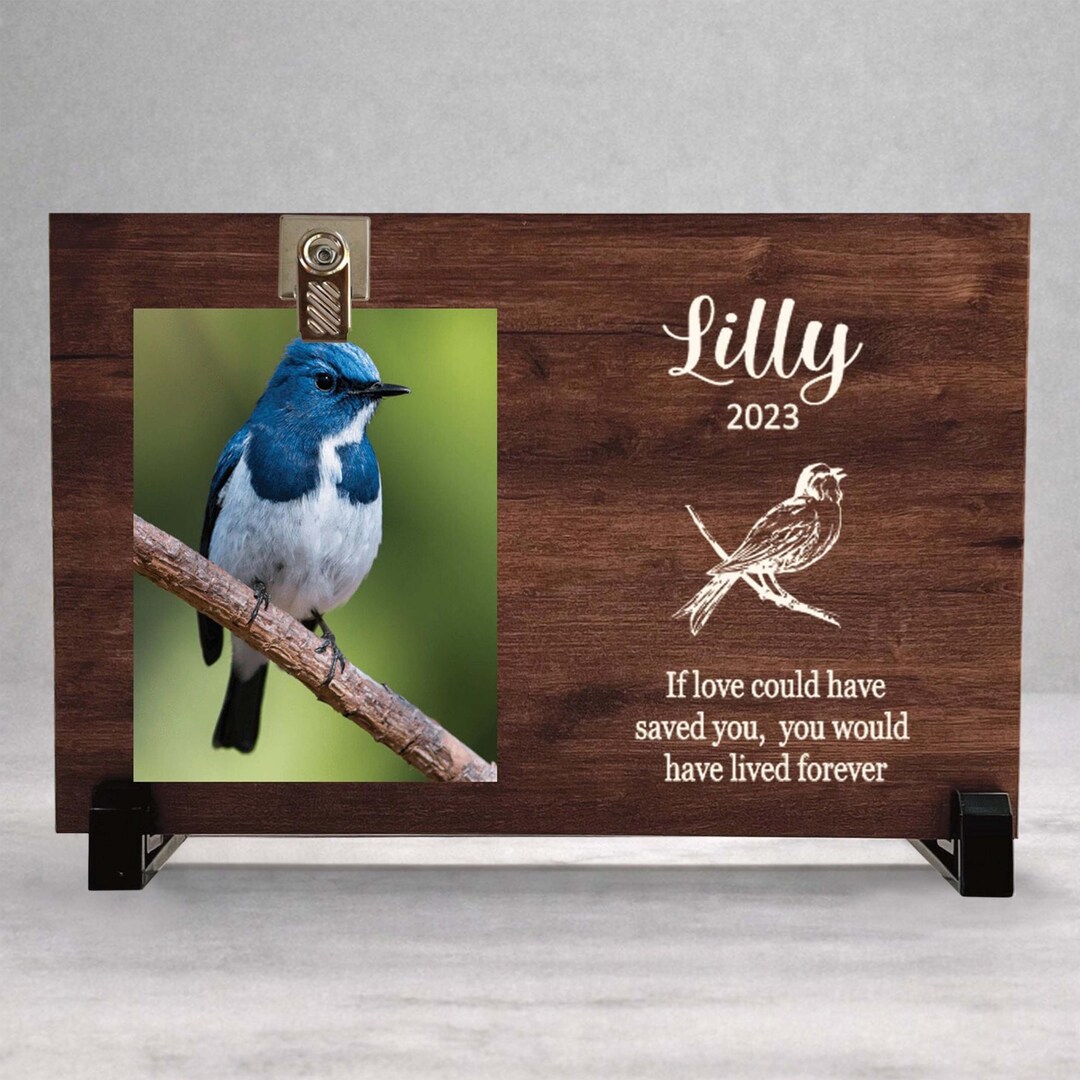 Memorial Bird Rip Bird Memorial Gift, Bird Memorial Frame, Pet Photo Memorial, Bird Loss ...