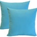 see more listings in the Decorative Throw Pillows section