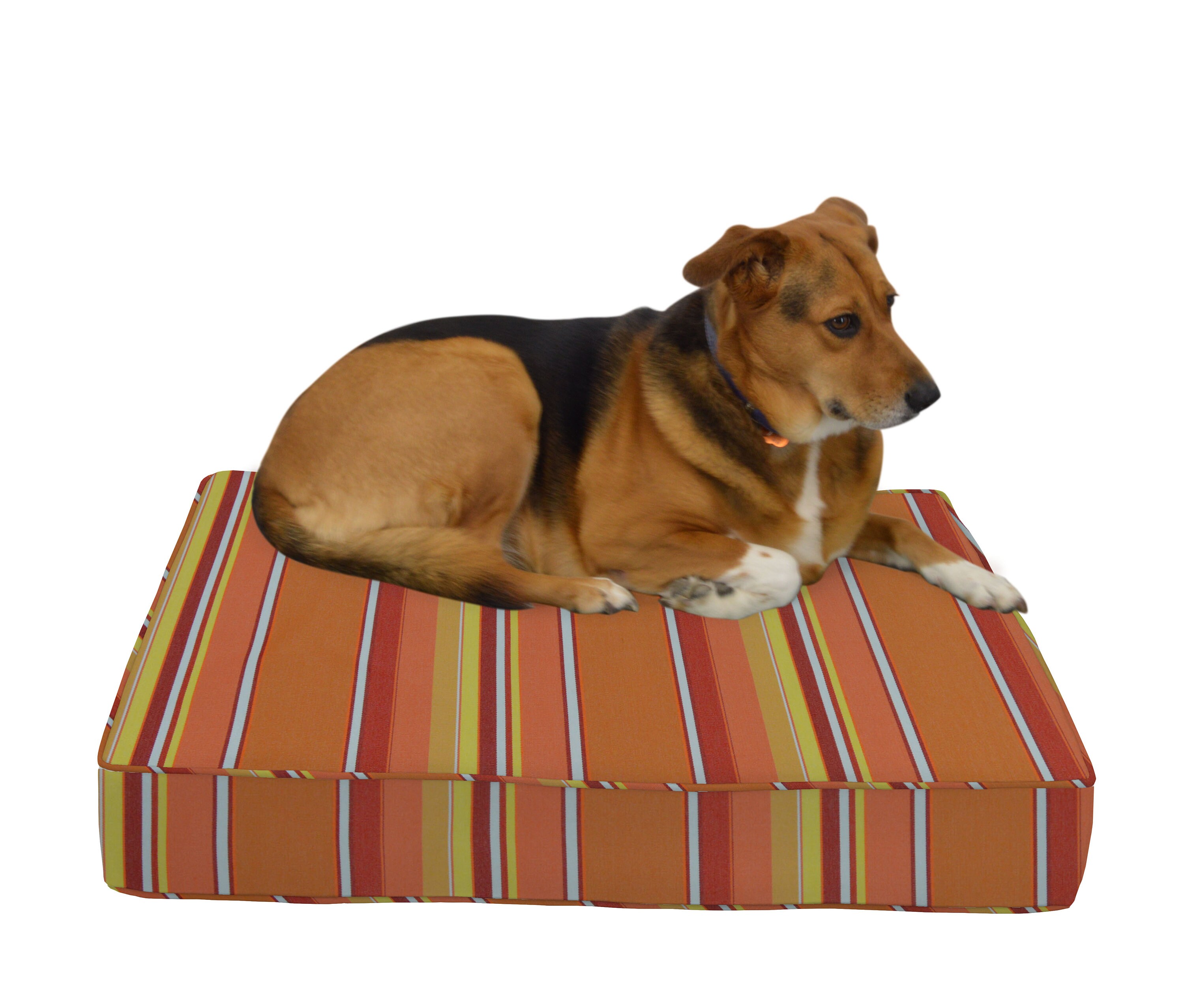 RSH D cor Dog Pet Bed Made of Sunbrella Fabric With Piping 6
