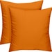 see more listings in the Decorative Throw Pillows section