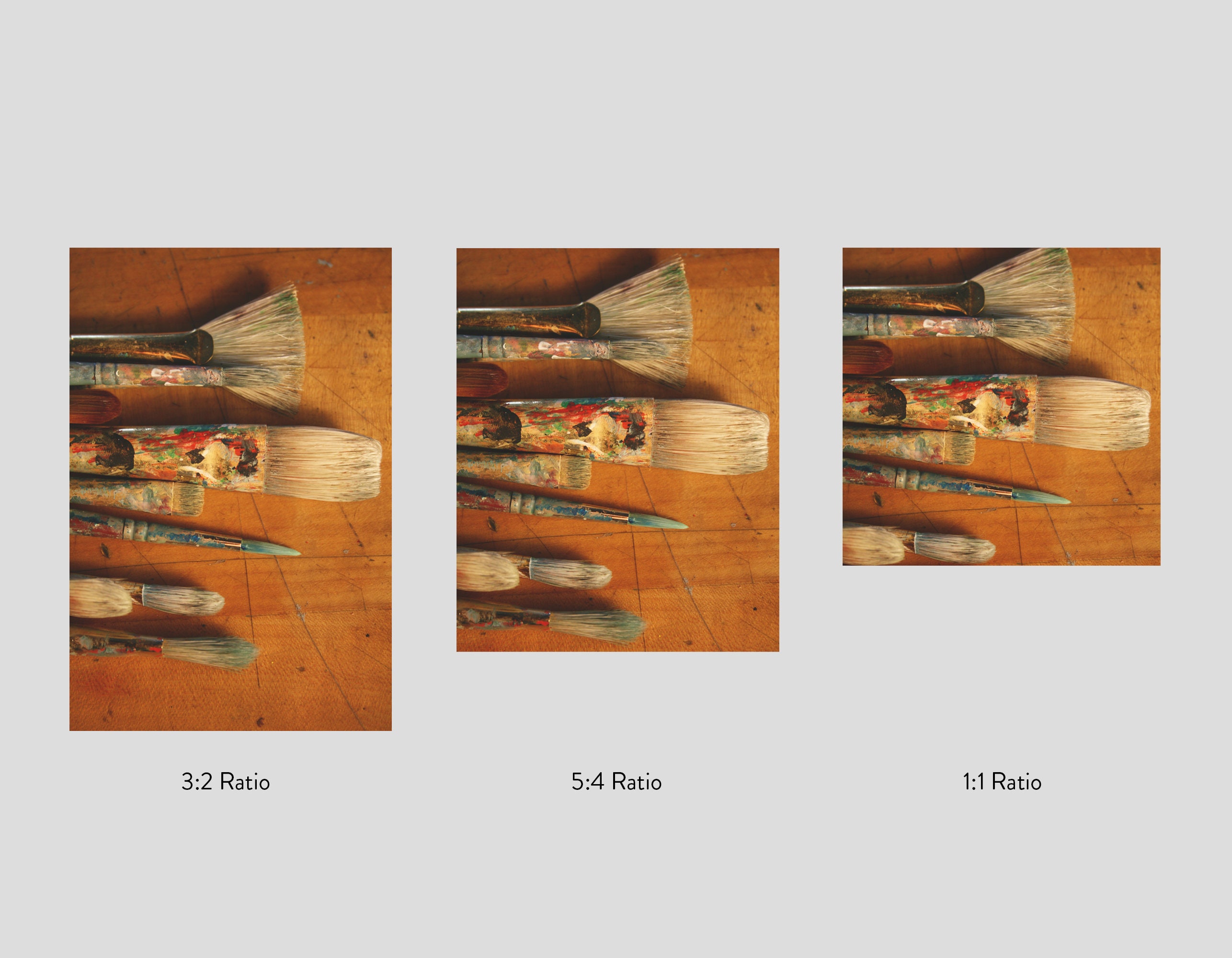 Paintbrush Fine Art Print / Fine Art Photography / Print for Etsy