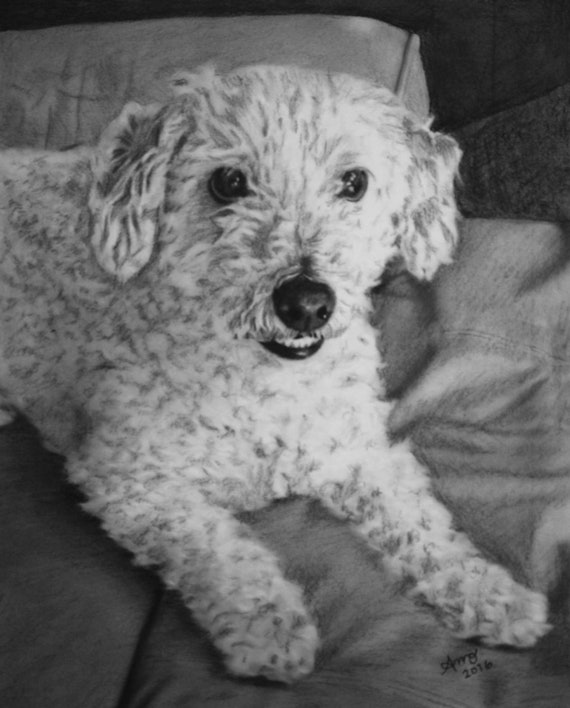 Custom Pet Portrait Drawing from Photo Charcoal Custom Pet Drawing from Photo Pet Memorial Custom Dog Portrait Drawing Custom Cat Portrait