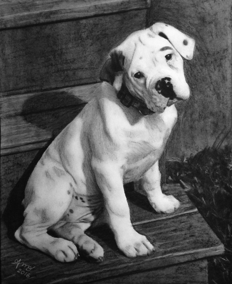 Puede incluir: Un dibujo a l&aacute;piz en blanco y negro de un cachorro de bulldog blanco sentado en unos escalones de madera. El cachorro lleva un collar negro y mira al espectador.