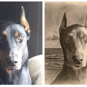 Puede incluir: Una comparaci&oacute;n lado a lado de un Doberman Pinscher negro, la foto original a la izquierda y un dibujo a l&aacute;piz a la derecha. El dibujo representa al perro frente a una escena de playa con olas y un cielo nublado. El dibujo est&aacute; firmado "A.vid 2020".