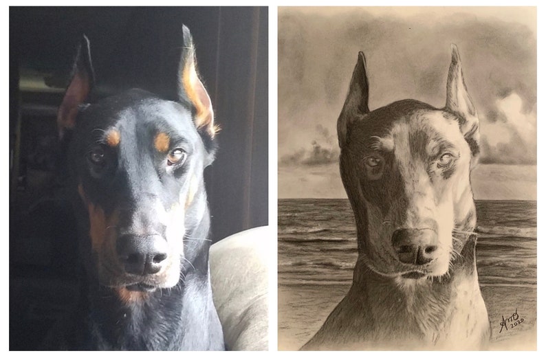 Puede incluir: Una comparaci&oacute;n lado a lado de un Doberman Pinscher negro, la foto original a la izquierda y un dibujo a l&aacute;piz a la derecha. El dibujo representa al perro frente a una escena de playa con olas y un cielo nublado. El dibujo est&aacute; firmado "A.vid 2020".