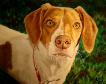 Dibujo de retrato de mascota personalizado Retrato a partir de una foto Dibujo conmemorativo de mascota Dibujo de mascota a color a partir de una foto Dibujo de perro Dibujo de mascota Arte de mascotas
