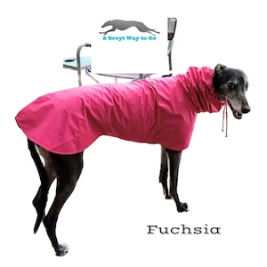 Hound Raincoat: Custom Fit Ripstop Nylon, Sighthound Snood