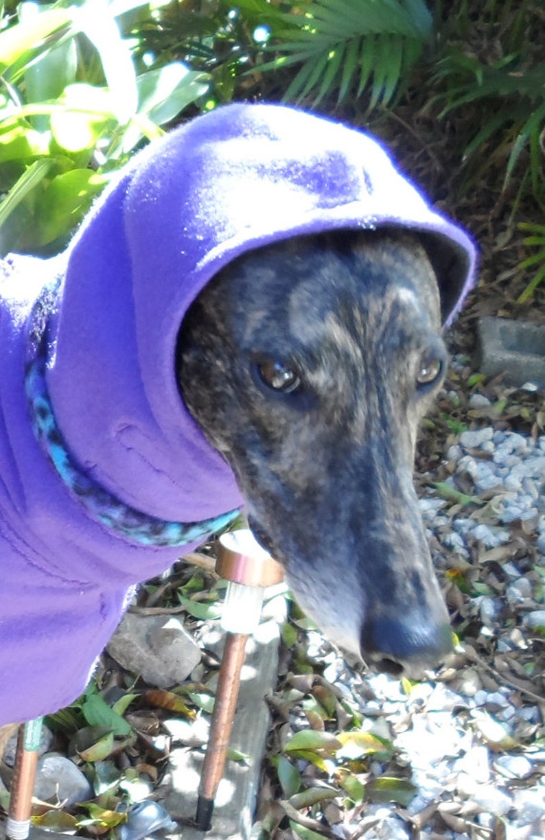 Hound Fleece Hood