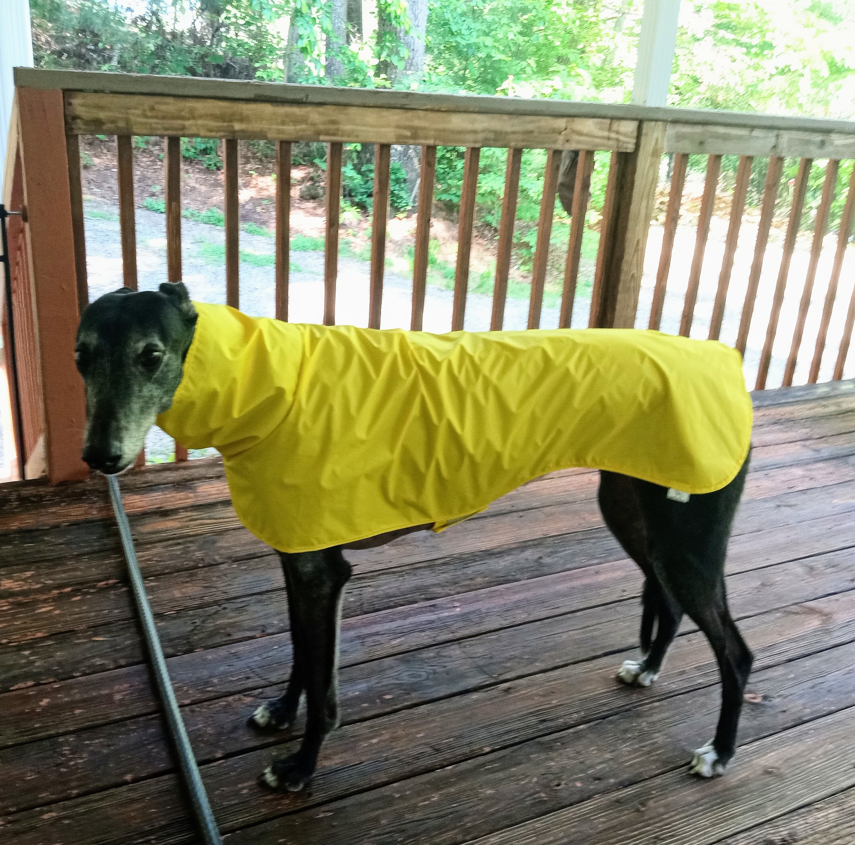 Custom Rain Jacket Etsy