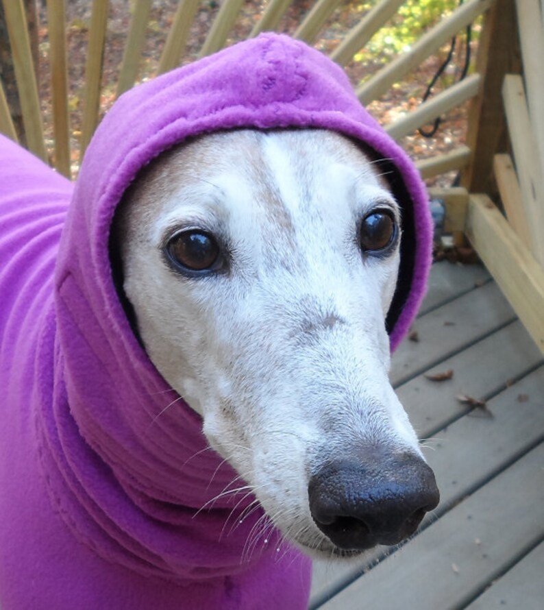 Hound Fleece Hood