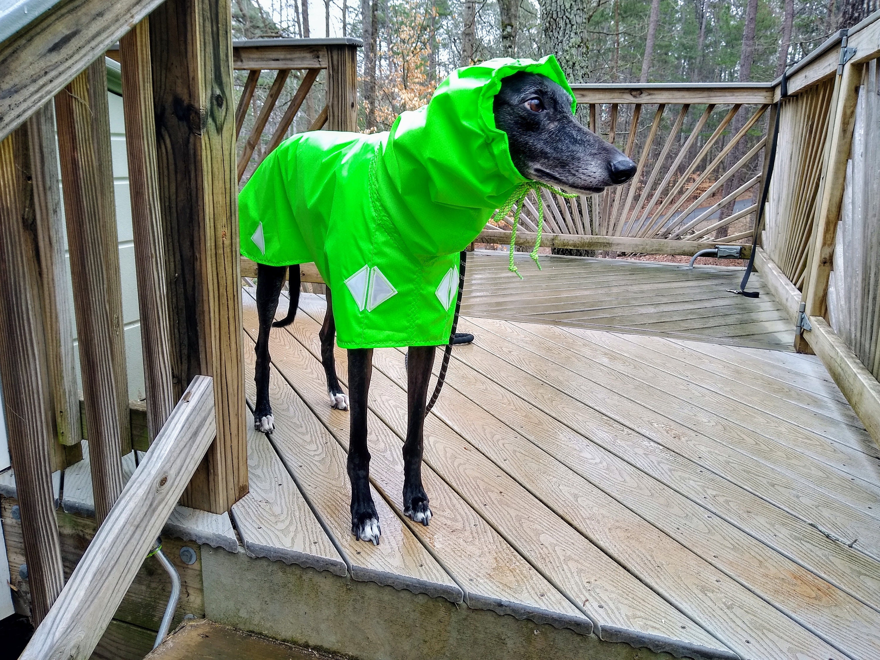 Greyhound raincoat hotsell with hood