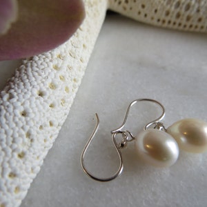 Freshwater Pearl Earrings, Pearl Teardrop Earrings, June Birthstone Earrings, 30th Wedding Anniversary Earrings, Small White Pearl Drop image 1