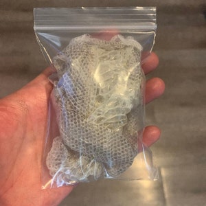 Bolsa de piel de serpiente mudada, piel de serpiente pitón natural mudada, varios tamaños, wicca, hechizos, hoodoo, arte de resina, escamas, cangrejo ermitaño