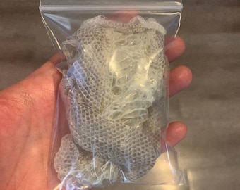 May include: A clear plastic bag containing a light brown snake skin. The skin is folded and wrinkled.