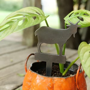 Metal Goat Planter - Etsy
