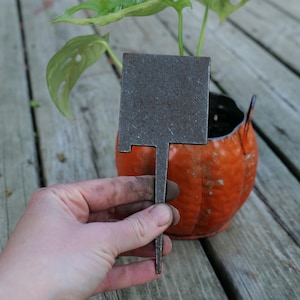 May include: A weathered metal plant marker with a rectangular label is held in front of an orange pot with a green plant. The marker has a stem for insertion into the soil. The plant has green leaves with holes.