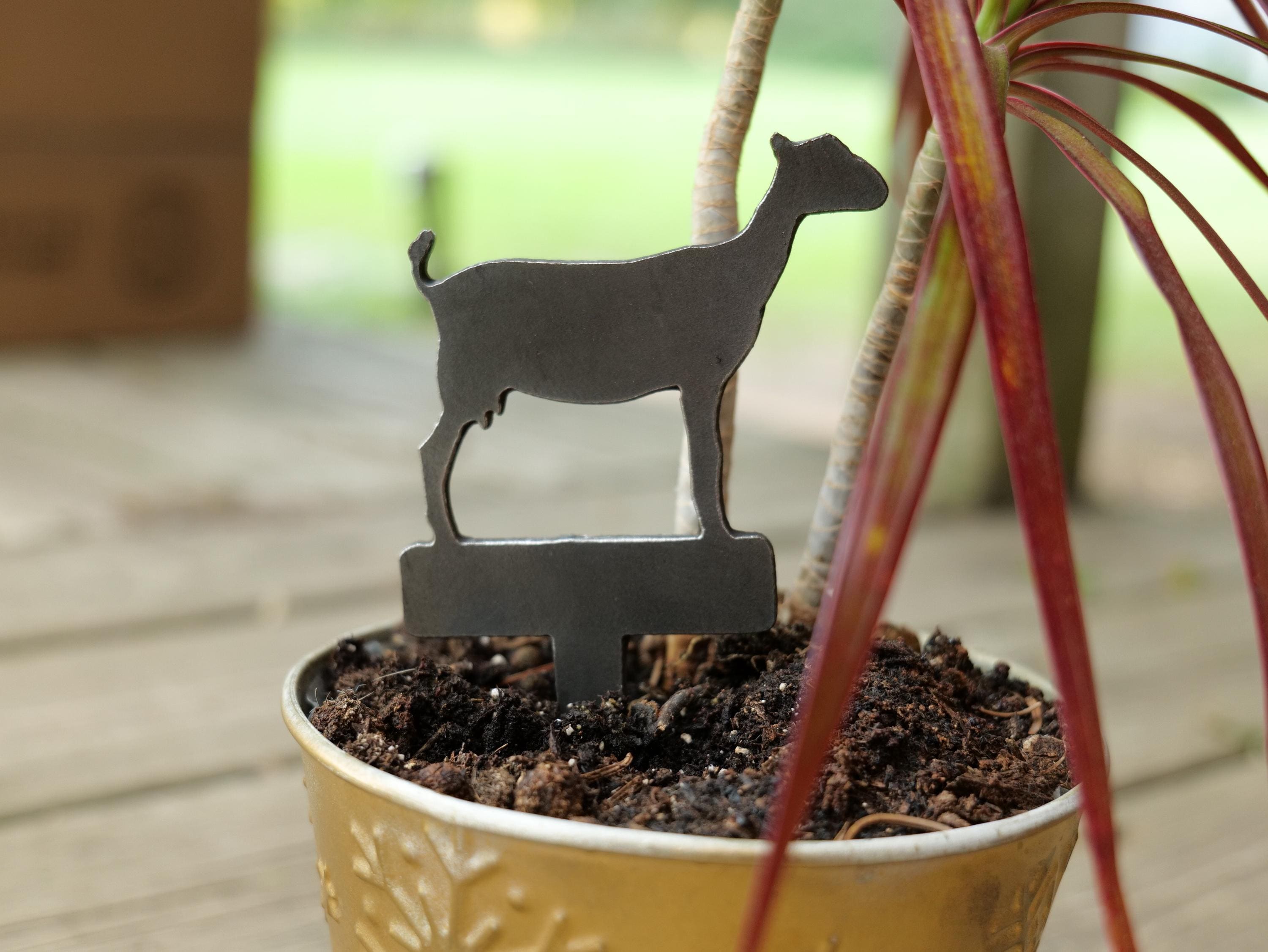 Goat Planter - Etsy
