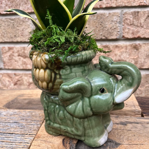 Elephant Planter Etsy