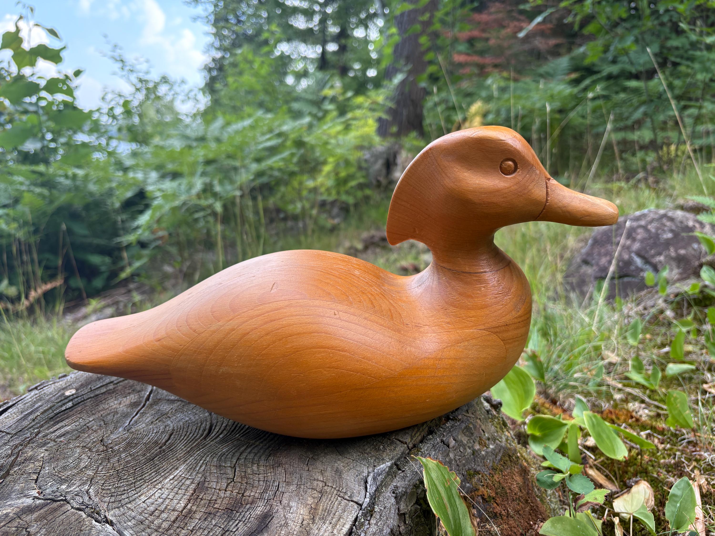 木彫鳥 デコイ オブジェ 鴨アヒル 民藝 南米 アンティーク 手彫りの
