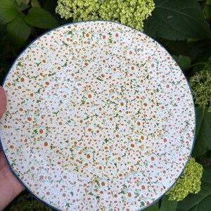 Może przedstawiać: Biały ceramiczny talerz z nakrapianym wzorem pomarańczowych, zielonych i niebieskich kropek. Talerz ma niebieską obw&oacute;dkę i jest ustawiony na tle zielonych liści i kwiat&oacute;w.