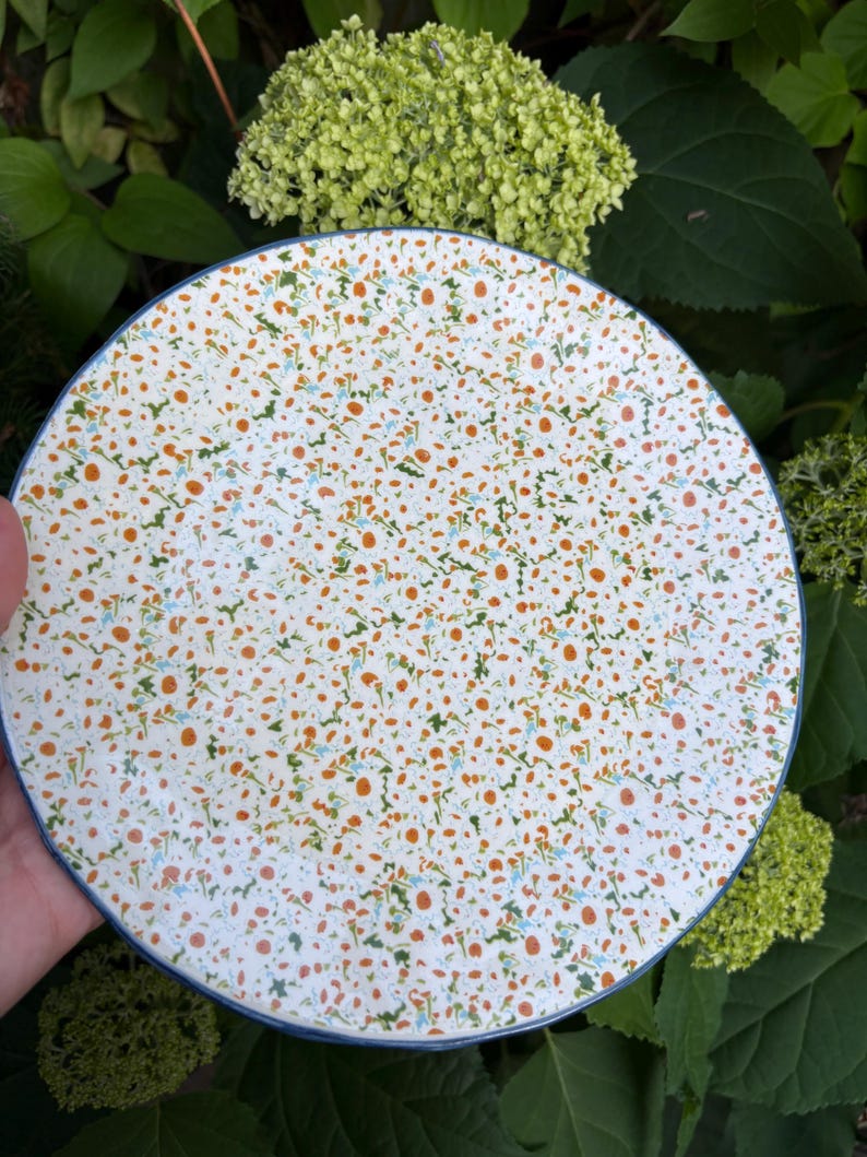 Może przedstawiać: Biały ceramiczny talerz z nakrapianym wzorem pomarańczowych, zielonych i niebieskich kropek. Talerz ma niebieską obw&oacute;dkę i jest ustawiony na tle zielonych liści i kwiat&oacute;w.