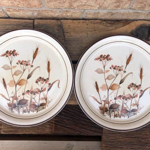 Peut inclure: Deux assiettes crème avec un bord marron et un motif floral. Le motif présente des fleurs sauvages et des épis de blé bruns, beiges et bronzés. Les assiettes sont posées sur un fond en bois rustique.