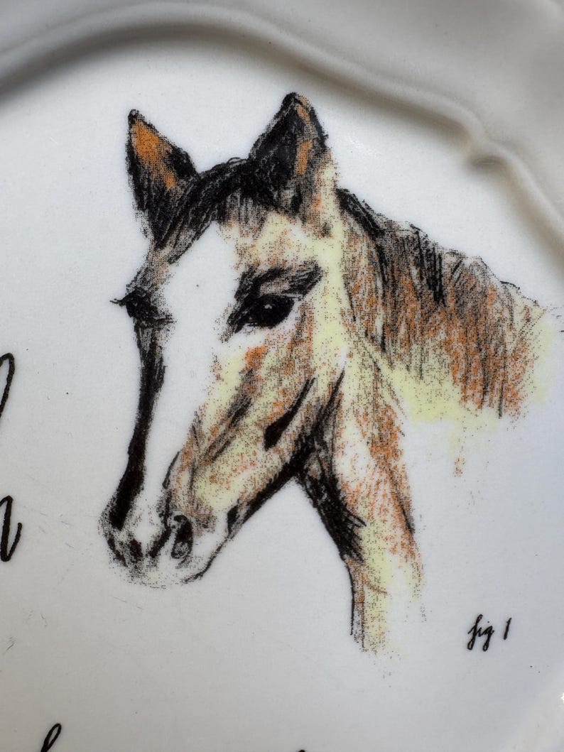 May include: White ceramic plate with a sketched horse head design. The horse is depicted in shades of brown, black, and white, with a detailed drawing of the horse's face. The plate has a scalloped edge.