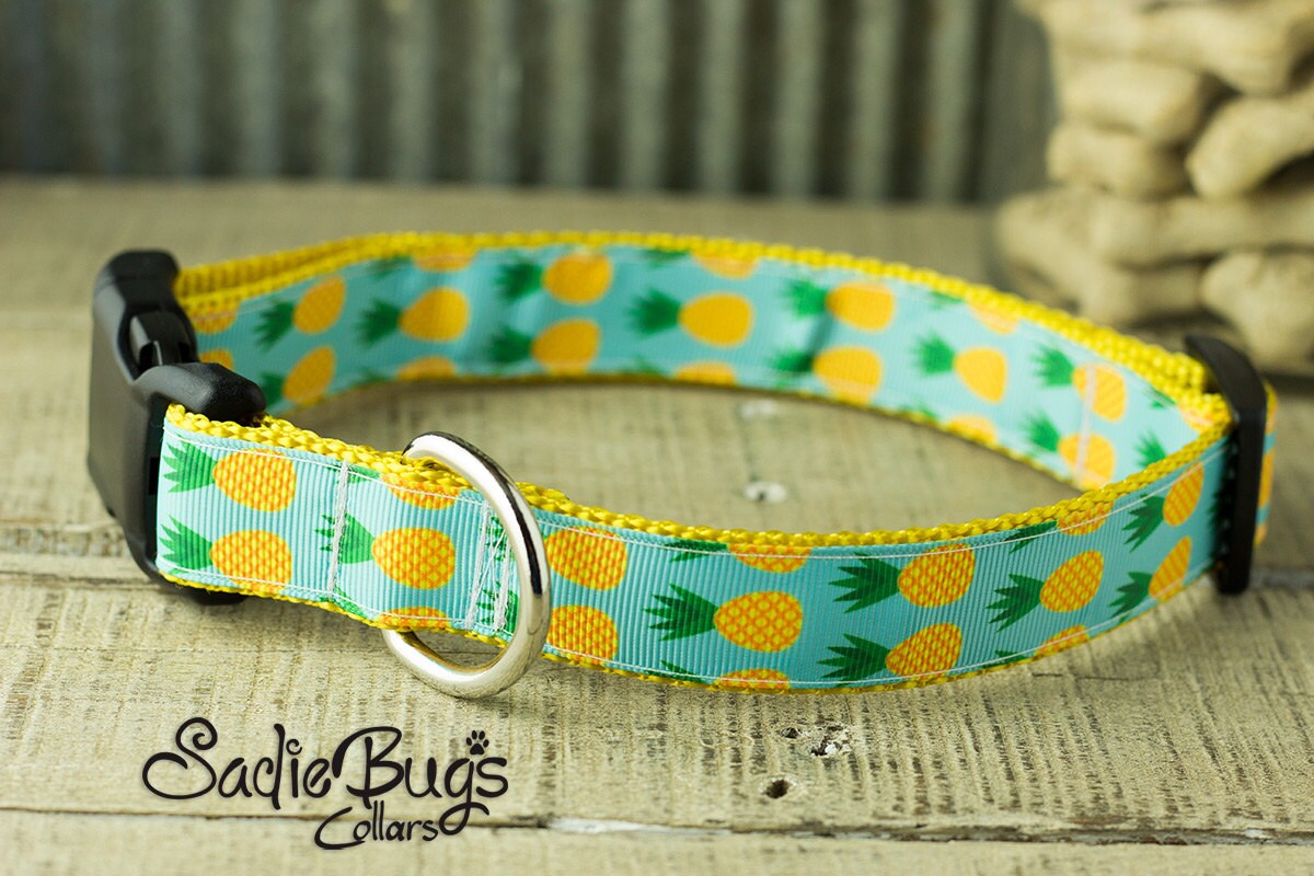 Pineapple dog collar Etsy