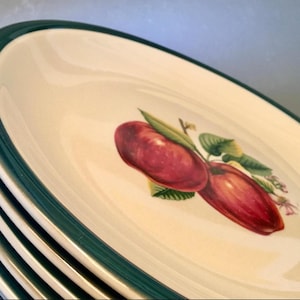 ÄPPLE Tallrikar. Set med 6 mattallrikar Vintage Farmhouse Kina