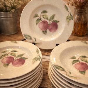 APPLE Tallrikar. Fairfield Stonewear. Set med 10 mattallrikar och 7 soppskålar - Vintage Farmhouse China