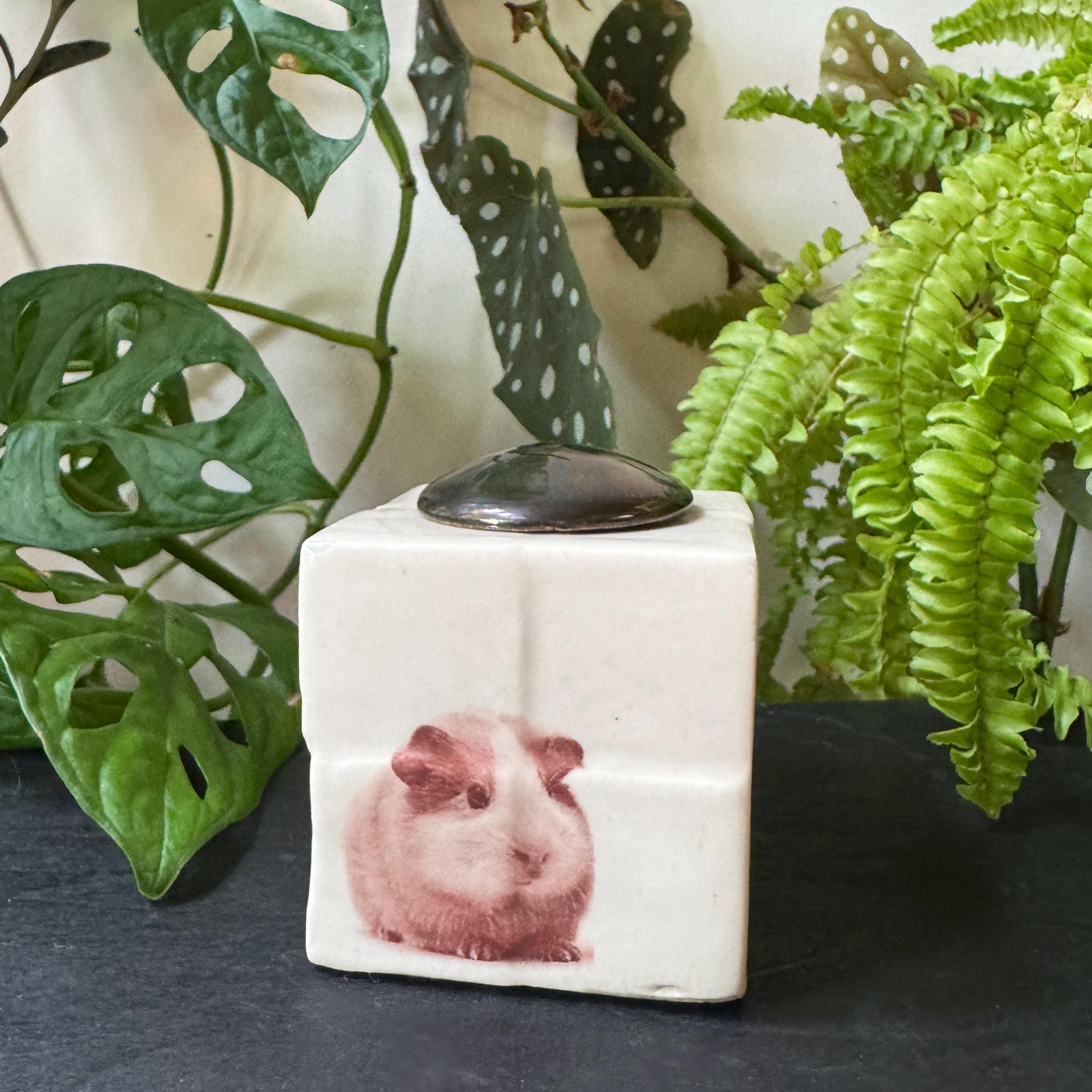 Personalized Handmade Ceramic Small Pet Urn - the 'Gordito'