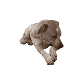 Complemento de imagen adicional de Urn