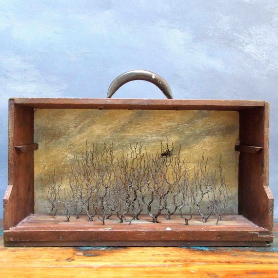 Tree Sculpture Diorama: Skyscape in Antique Wooden Tool Box