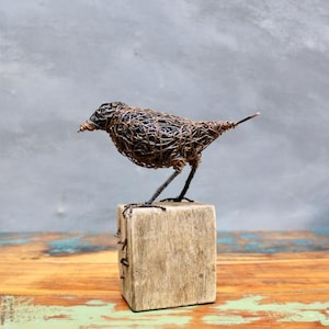 May include: A detailed wire bird sculpture in brown and black hues, mounted on a small, aged wooden block. The bird's body is meticulously crafted from wire, creating a textured appearance. This sculpture is a distinctive piece of home decor.