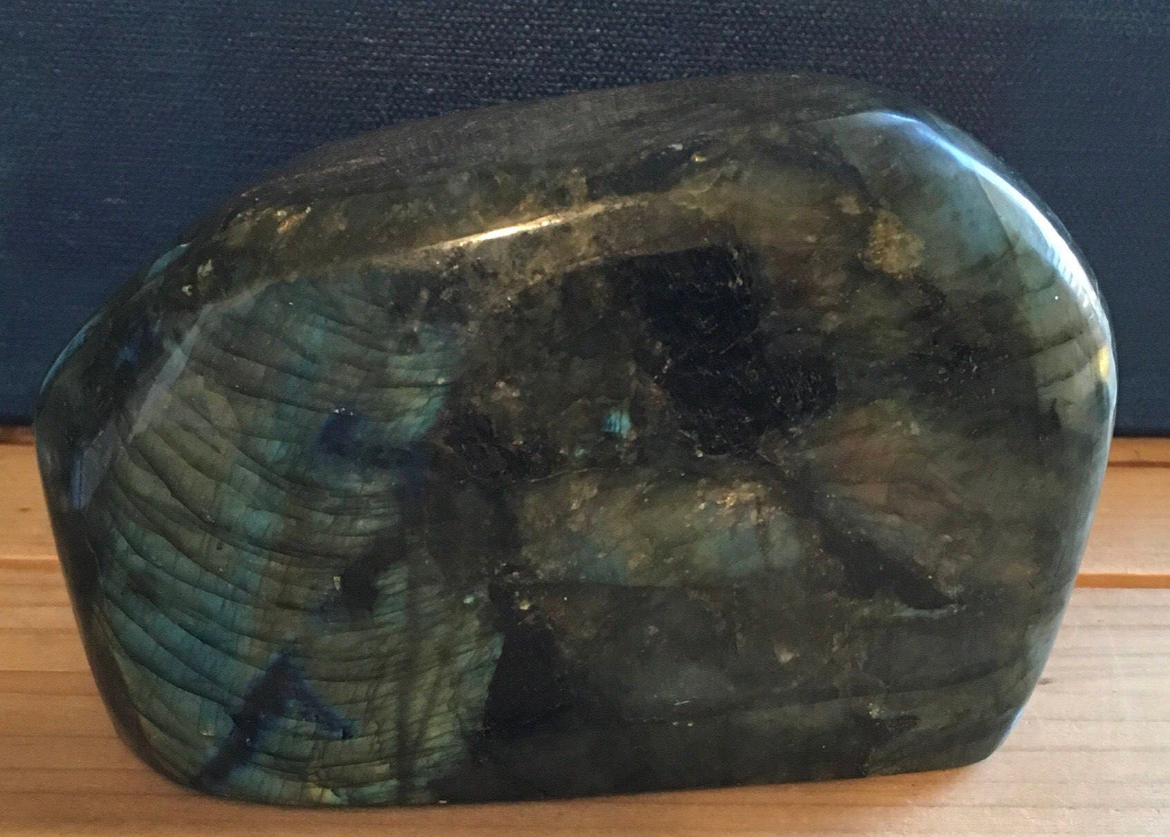 gallery photo
