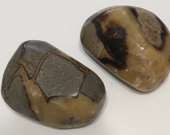 Septarian Power Palm Stone, Healing Stone, Healing Crystal, Chakra Stone, Spiritual Stone