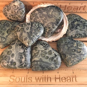 Kambaba Jasper Gemstone Heart, 45mm