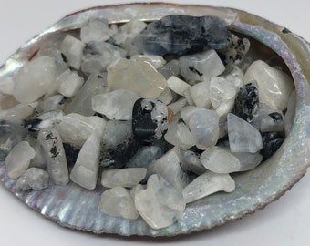 Rainbow Moonstone gemstone chips, Tiny Abalone Shell holding Grade A Moonstone chips, Healing Stone, Spiritual Stone, Healing Stone