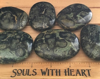 Kambaba Jasper Palm Gemstone