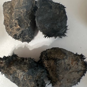 May include: Four rough, dark gray rocks with black, spiky, magnetic crystals growing from their surfaces.