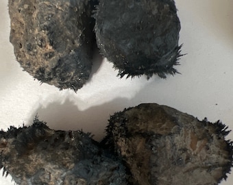 Lodestone Male and Female Pair, approximate gram weight for pair 50 +, Raw Natural Stone, Magnetite rough stone, Stone of Attraction