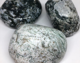 Tree Agate Power Stone, Palm Stone,  Healing Stone, Healing Crystal, Chakra Stone, Spiritual Stone