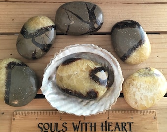 Septarian Palm Stone, Healing Stone, Healing Crystal, Chakra Stone, Spiritual Stone